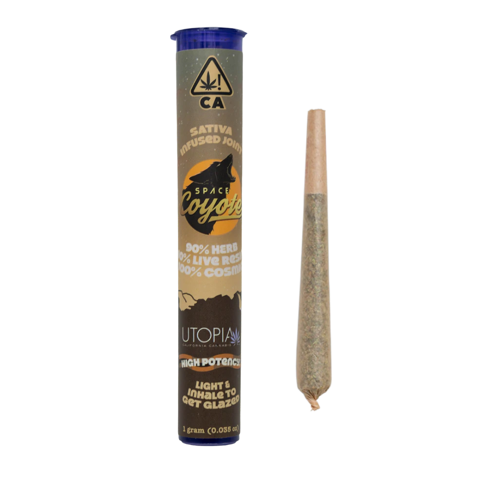 Space coyote - TROPICANA PUNCH X TANGERINE FROST [1G]