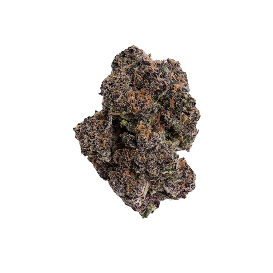 Blue chip genetics - GANGSTA BIRD